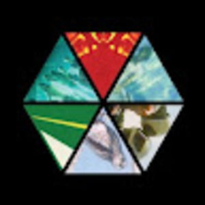 Meet your Posher, Nic